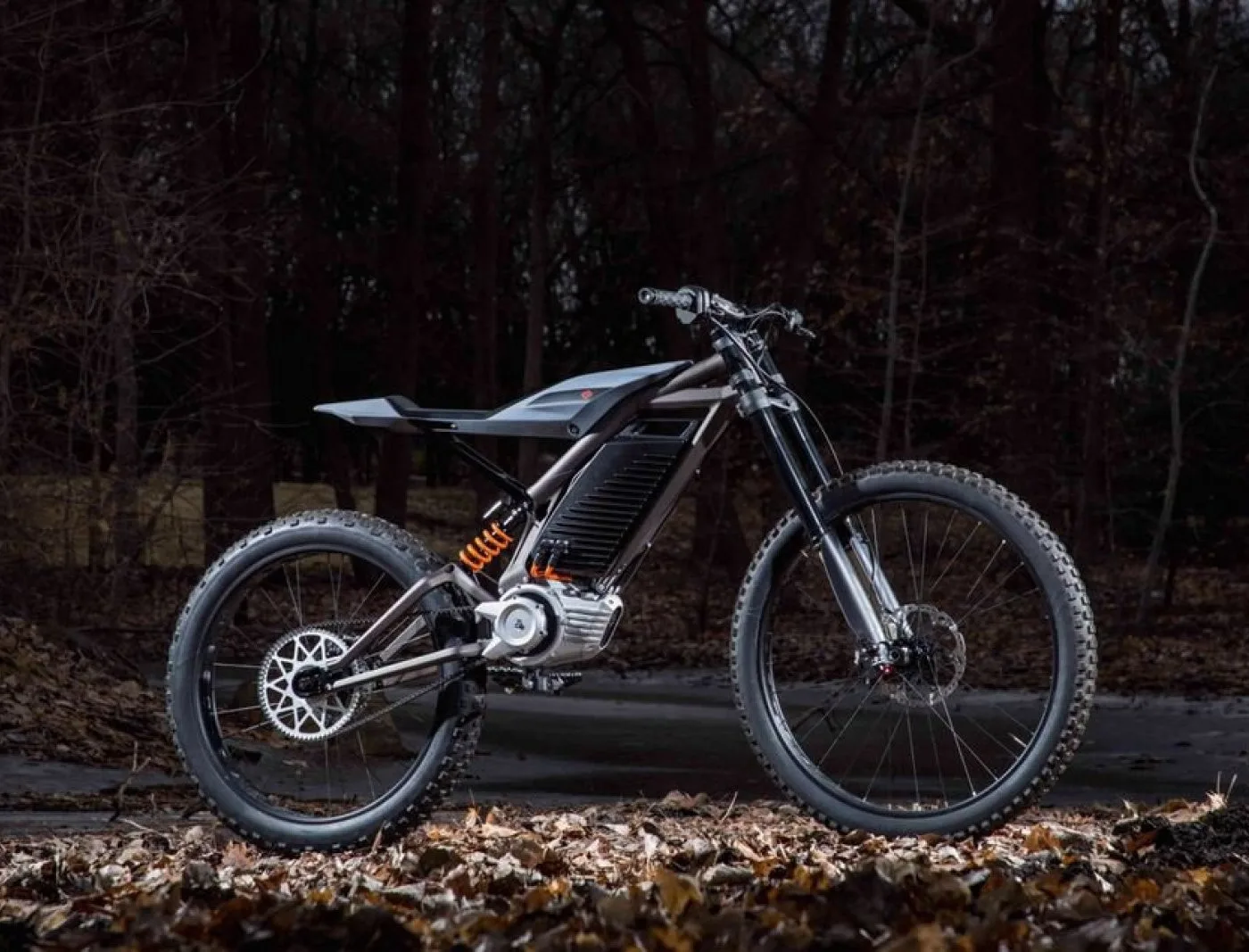 ( - ) Harley-Davidson DR