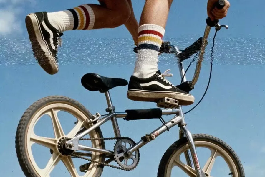 La Vans Old Skool et sa bande