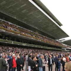 Le premier Prix de l'Arc de Triomphe est couru.